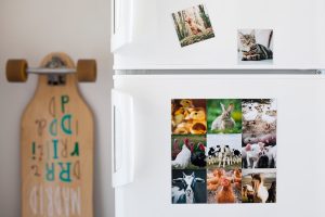 Photo Scrapyard magnet